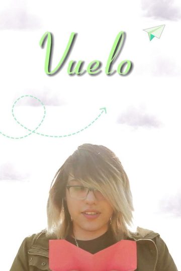 Vuelo
