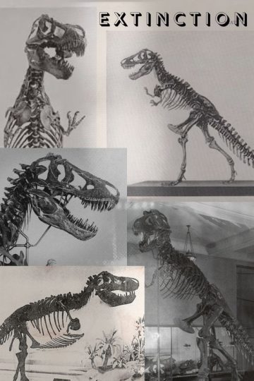 Extinction