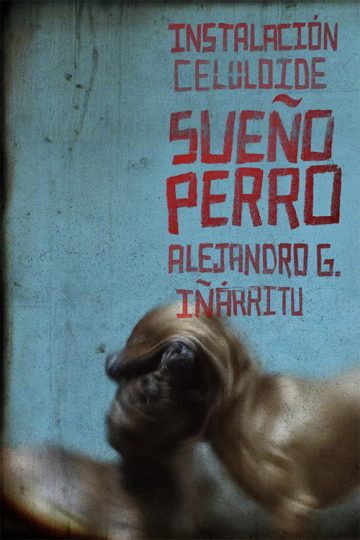 Sueño Perro