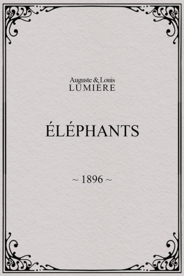 Elephants
